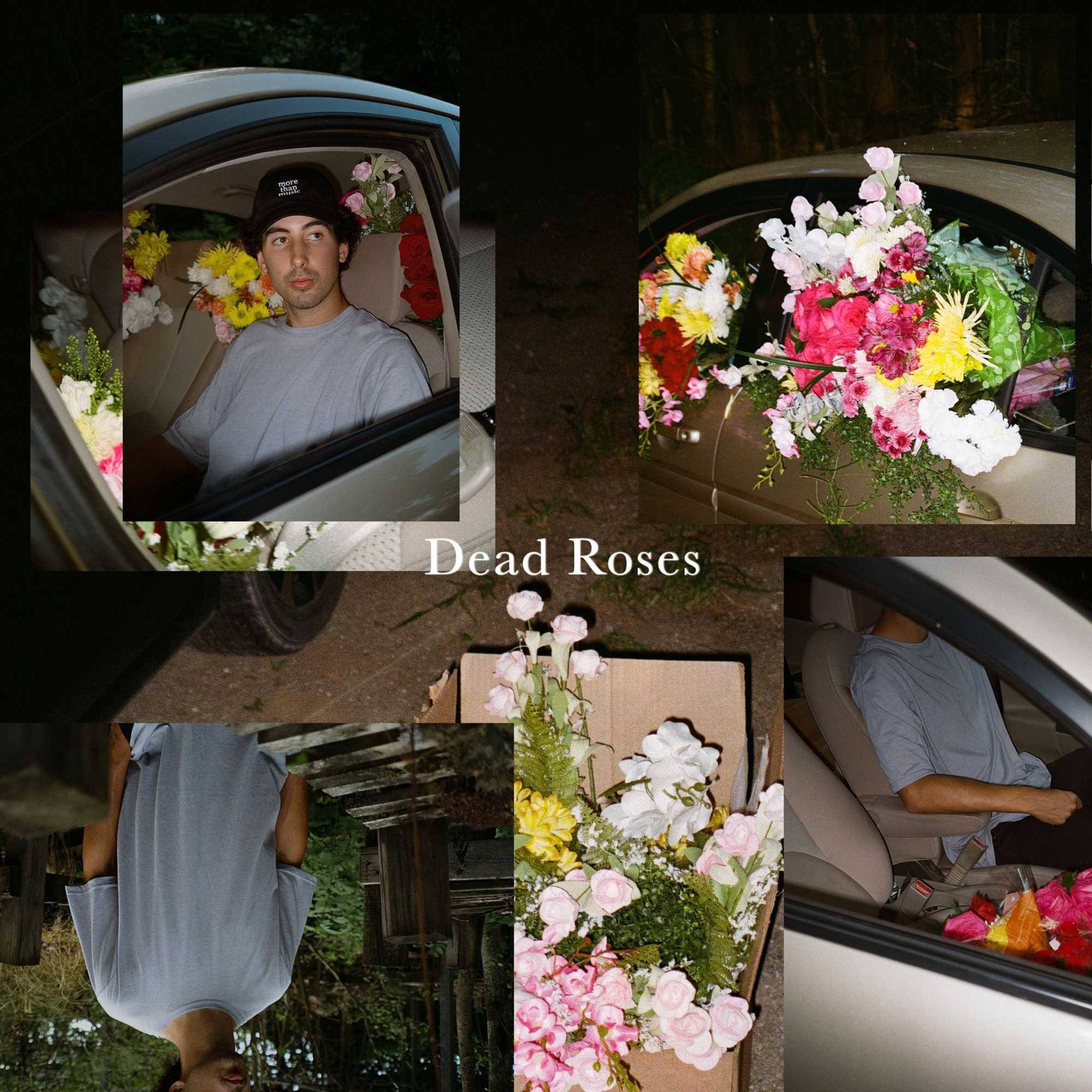 Ollie - Dead Roses